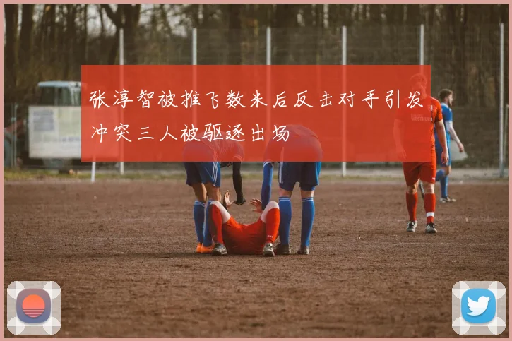 张淳智被推飞数米后反击对手引发冲突三人被驱逐出场